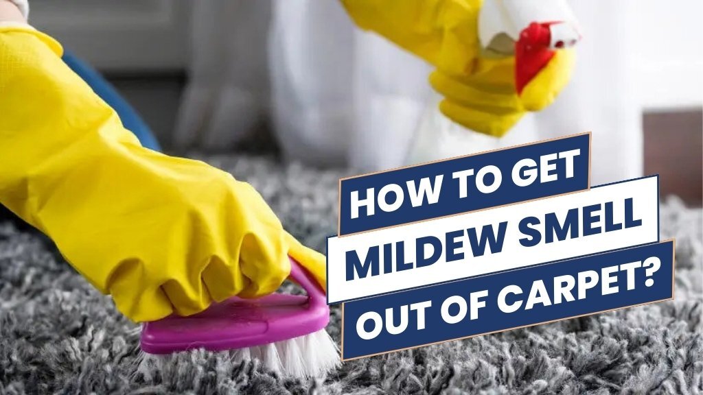 How To Get Mildew Smell Out Of Carpet