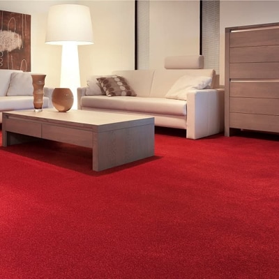 Living Room Redcarpets